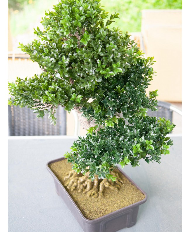 Europalms Buchsbonsai, Kunstpflanze, 61 cm Blumen & Pflanzen