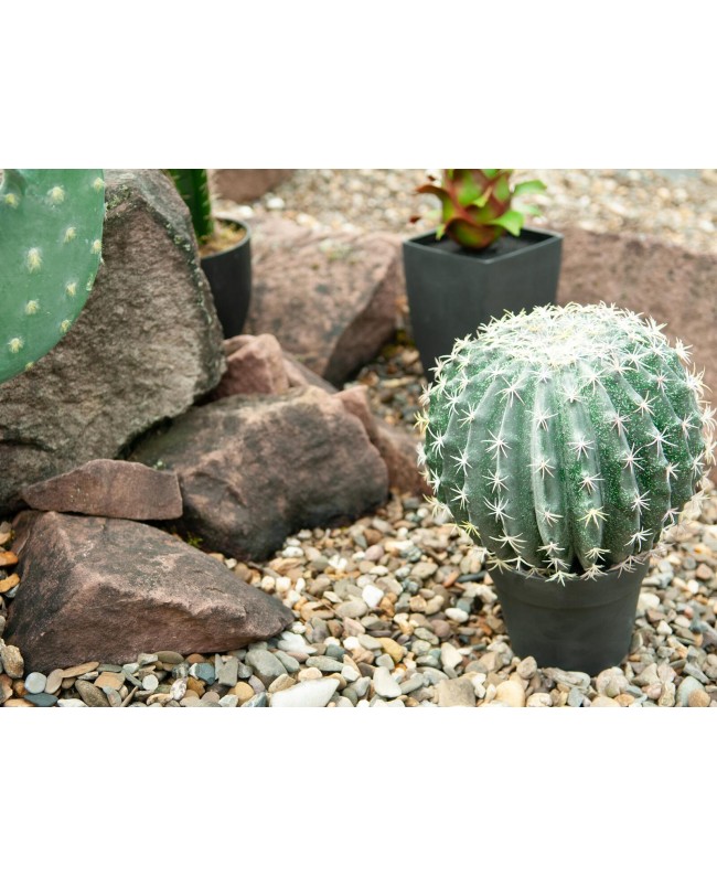 Europalms Barrel Cactus, artificial plant, 34cm Flowers & Plants
