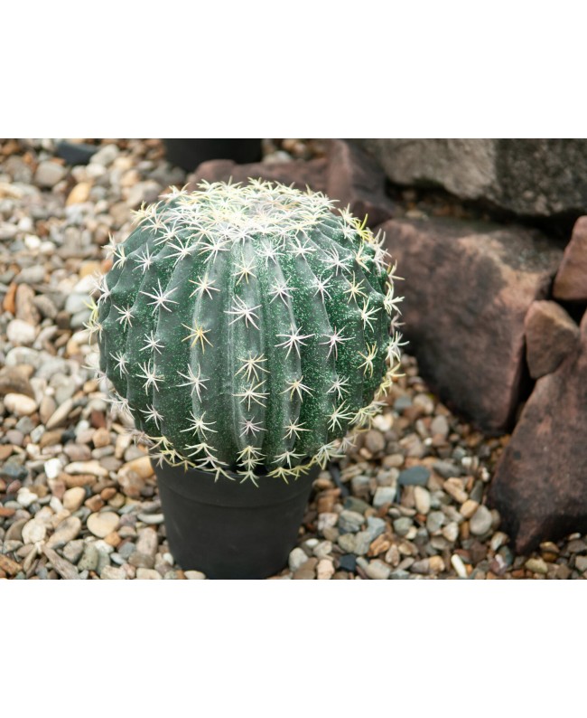 Europalms Barrel Cactus, artificial plant, 34cm Fiori & piante