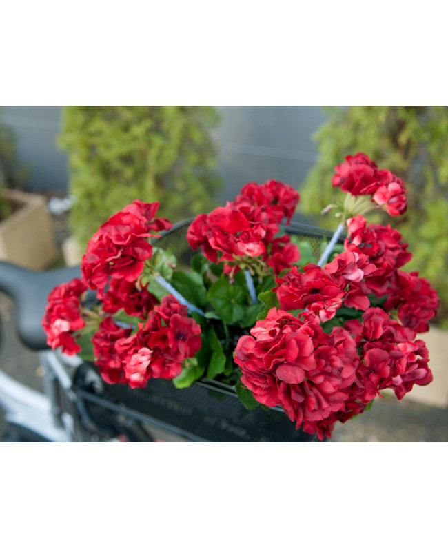 Europalms Geranium, artificial, red, 42cm Flowers & Plants