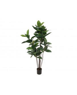 Europalms Rubber Tree, artificial plant, 120cm Fiori & piante