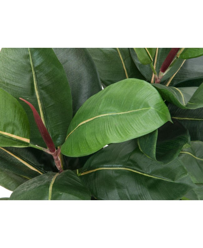 Europalms Rubber Tree, artificial plant, 120cm Flowers & Plants