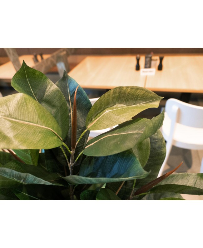 Europalms Rubber Tree, artificial plant, 120cm Flowers & Plants