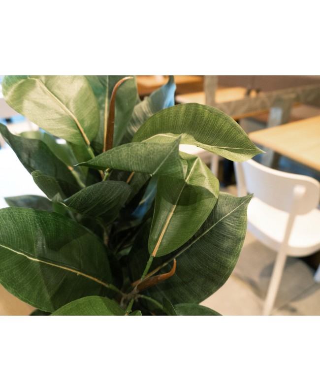 Europalms Rubber Tree, artificial plant, 120cm Flowers & Plants