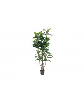 Europalms Rubber Tree, artificial plant, 150cm Fiori & piante