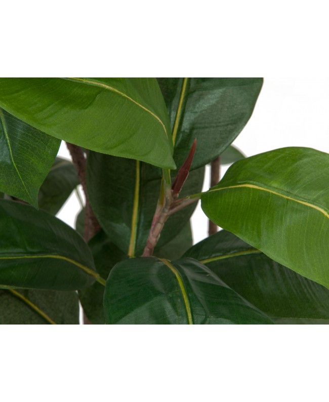 Europalms Rubber Tree, artificial plant, 150cm Fiori & piante