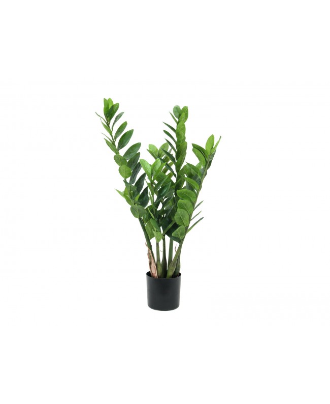 Europalms Zamifolia, artificial plant, 70cm Flowers & Plants