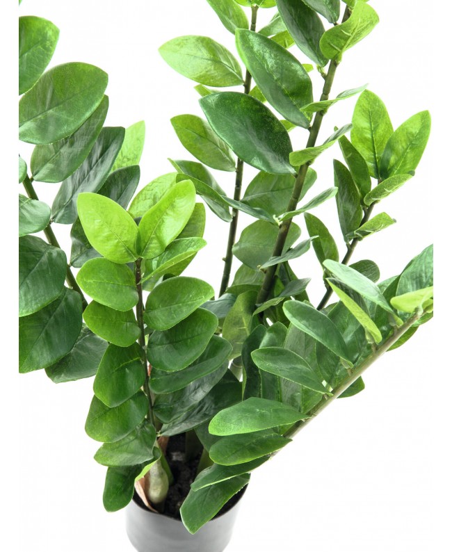 Europalms Zamifolia, artificial plant, 70cm Fiori & piante