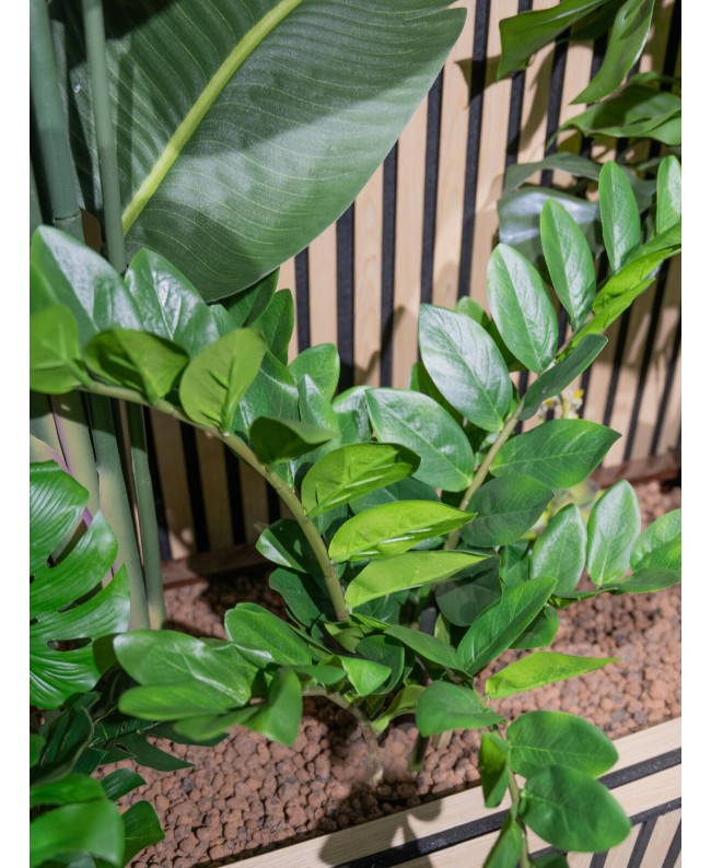 Europalms Zamifolia, artificial plant, 70cm Flowers & Plants