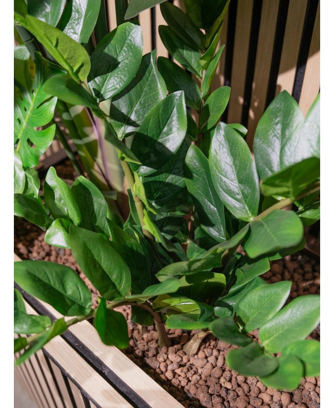 Europalms Zamifolia, artificial plant, 70cm Flowers & Plants