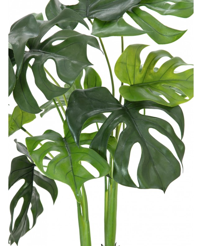 Europalms Monstera deliciosa, Kunstpflanze, 90cm Blumen & Pflanzen