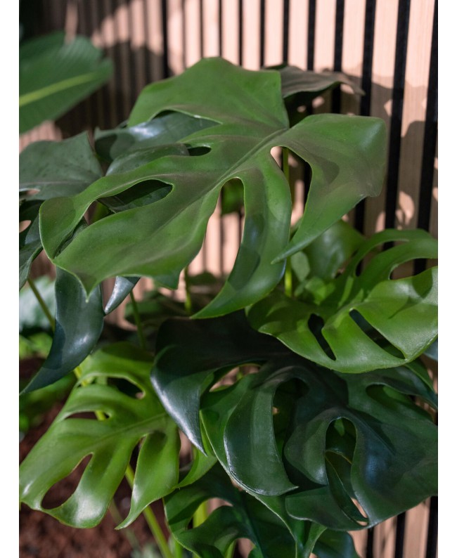 Europalms Monstera deliciosa, Kunstpflanze, 90cm Blumen & Pflanzen