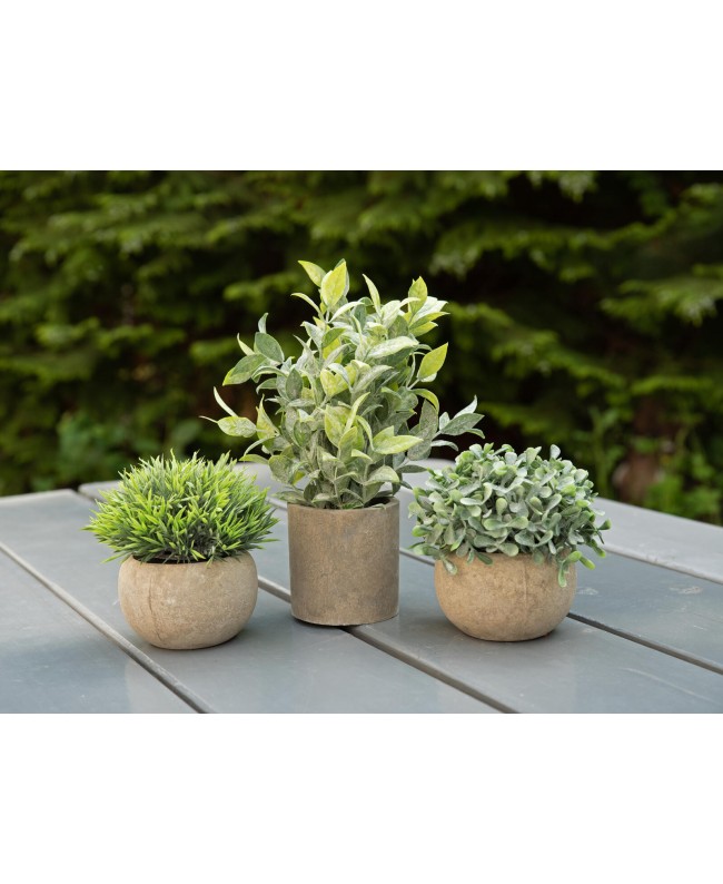 Europalms Table plants in pots, artificial plant, Set of 3 Flowers & Plants