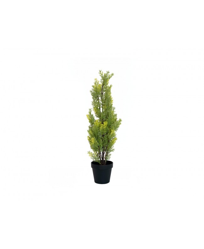 Europalms Cypress, Leyland, artificial plant, 60cm Flowers & Plants