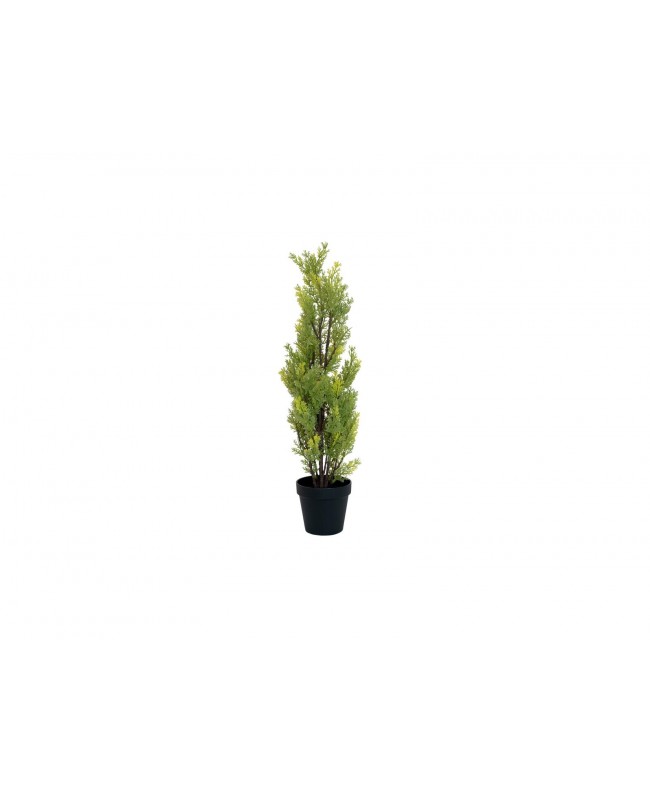 Europalms Cypress, Leyland, artificial plant, 60cm Fiori & piante