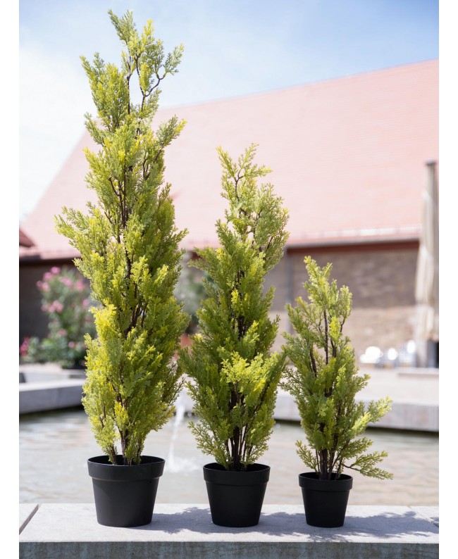 Europalms Cypress, Leyland, artificial plant, 60cm Flowers & Plants
