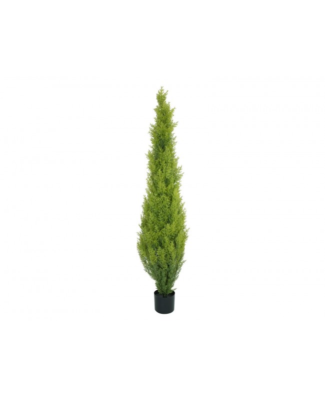 Europalms Cypress, Leyland, artificial plant, 120cm Fiori & piante