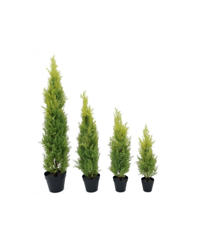 Europalms Cypress, Leyland, artificial plant, 120cm Flowers & Plants
