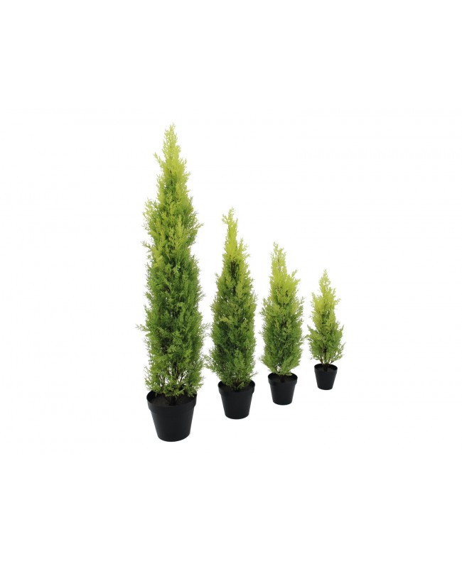 Europalms Cypress, Leyland, artificial plant, 120cm Fiori & piante