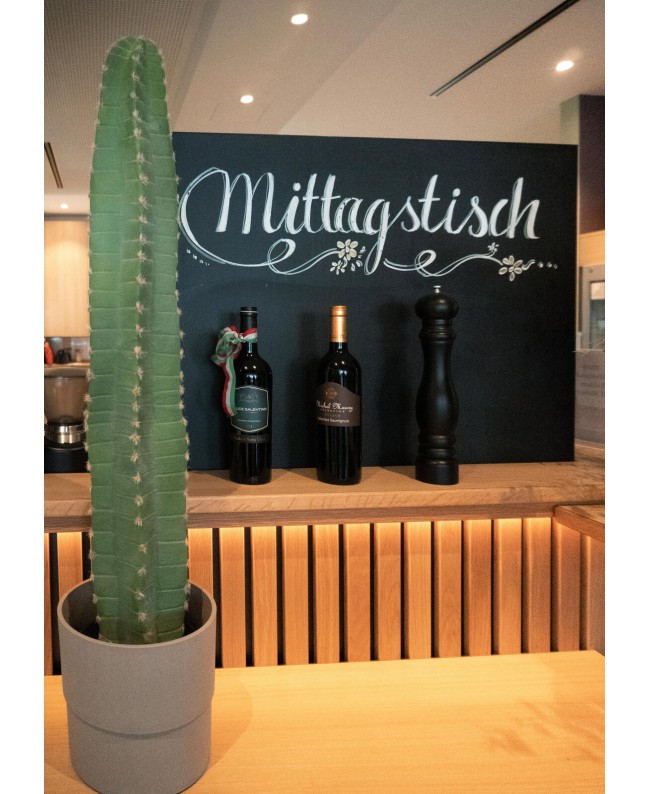 Europalms Mexican Cactus, artificial plant, green, 97cm Flowers & Plants