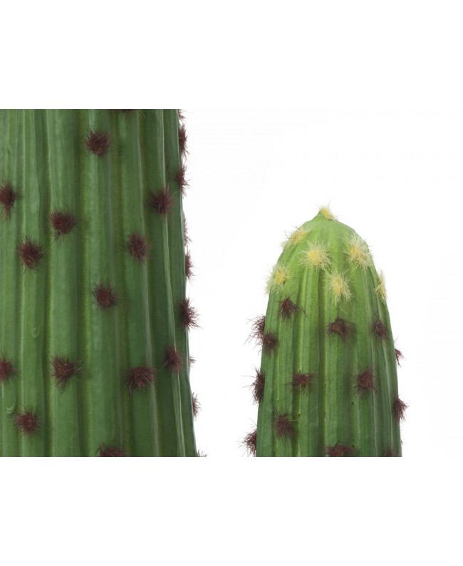 Europalms Mexican Cactus, artificial plant, green, 117cm Flowers & Plants