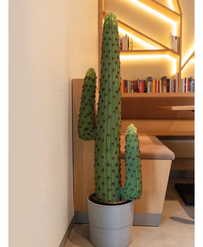 Europalms Mexikanischer Kaktus, Kunstpflanze, grün, 117cm Blumen & Pflanzen