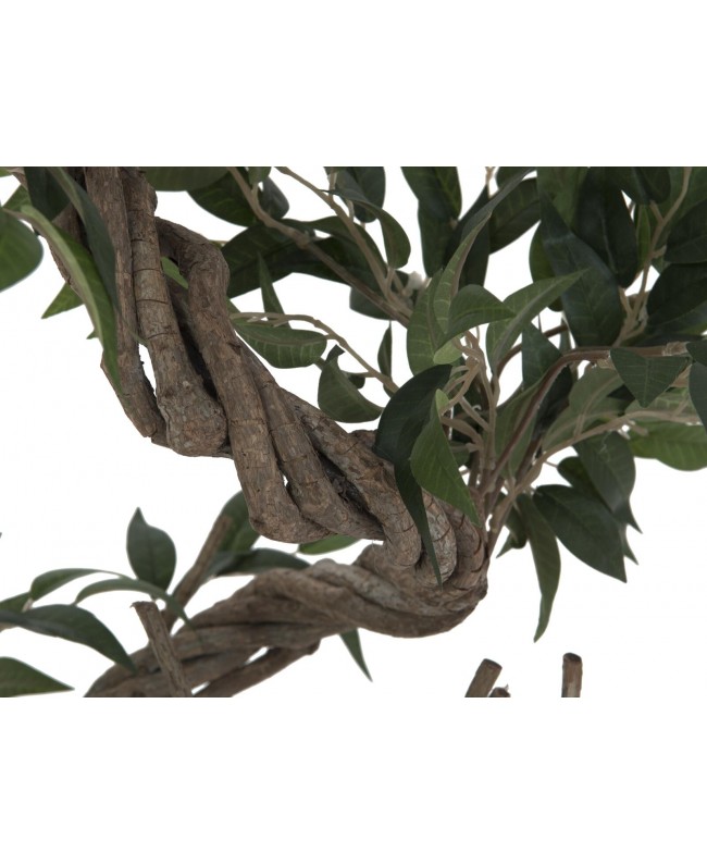 Europalms Ficus Multiple Spiral Trunk, artificial plant, green, 130cm Flowers & Plants