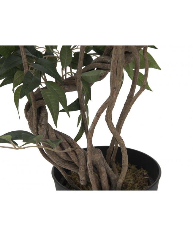 Europalms Ficus Multiple Spiral Trunk, artificial plant, green, 130cm Flowers & Plants