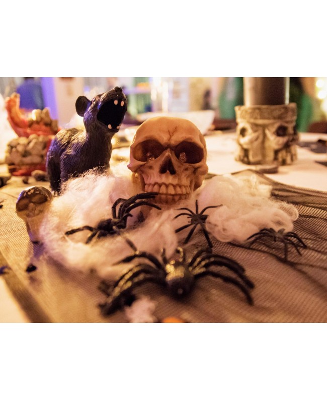 Europalms Halloween Spinnennetz weiß 50g Saisonartikel