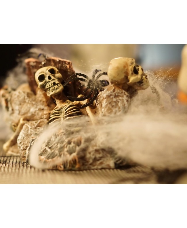 Europalms Ragnatela di Halloween Bianca 50g Articoli stagionali