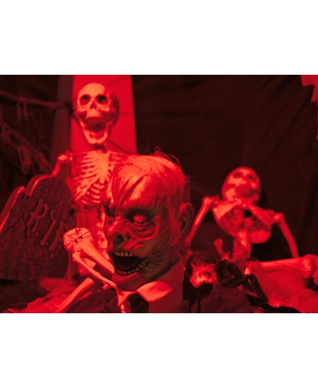 Europalms Halloween Zombie, animated 43cm Articoli stagionali