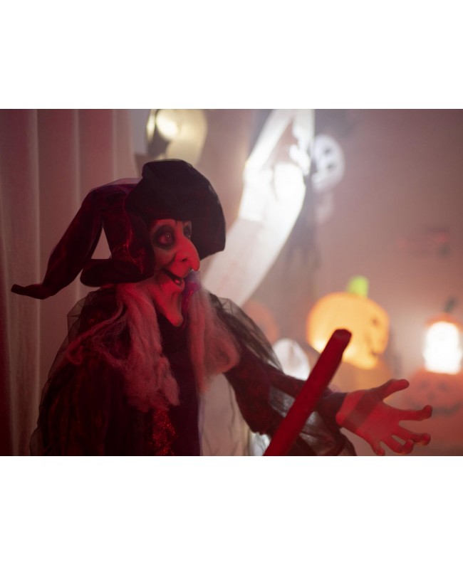 Europalms Halloween Witch, animated Seasonal Items