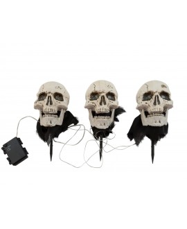 Europalms Halloween Skeleton Head with Stake, Set of 3, 29cm Seasonal Items