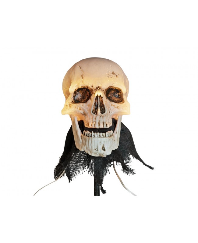 Europalms Halloween Skeleton Head with Stake, Set of 3, 29cm Seasonal Items
