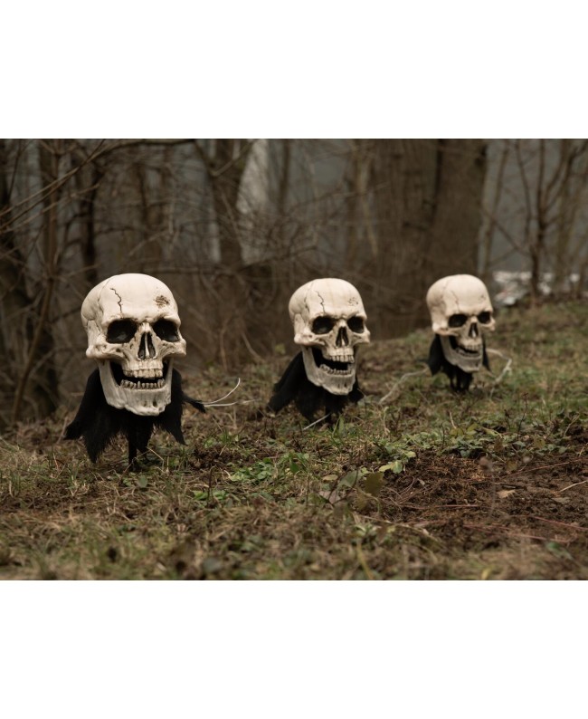 Europalms Halloween Skeleton Head with Stake, Set of 3, 29cm Seasonal Items