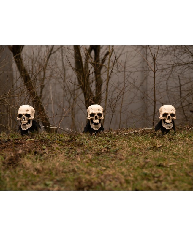 Europalms Halloween Skeleton Head with Stake, Set of 3, 29cm Seasonal Items