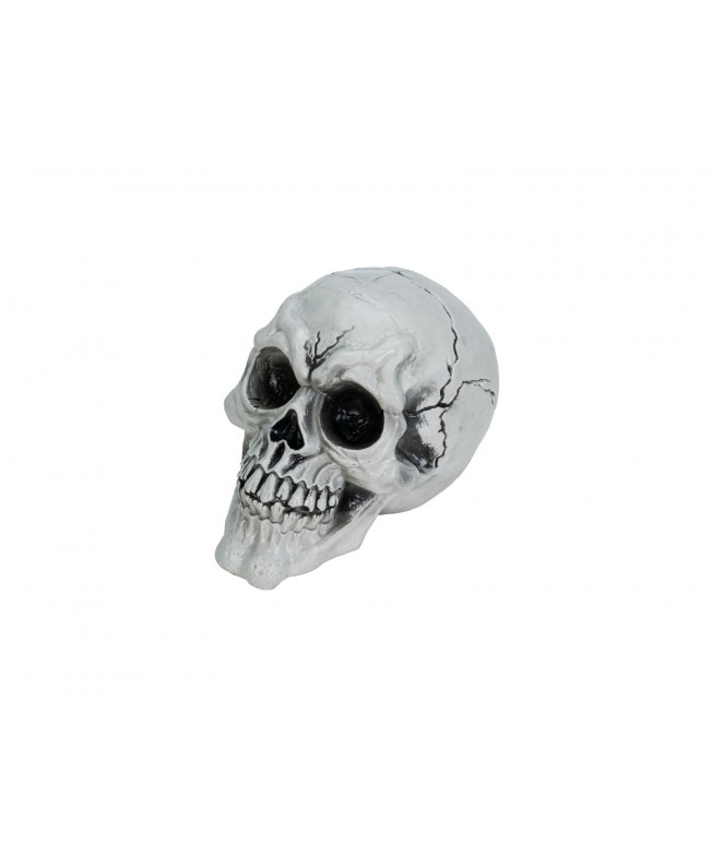 Europalms Halloween Skull, 3x Seasonal Items