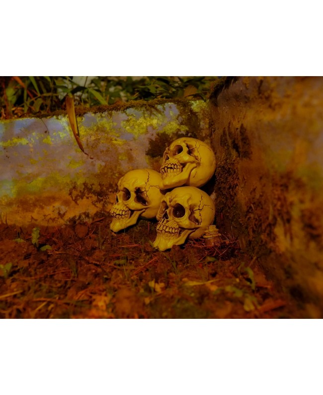 Europalms Halloween Skull, 3x Articoli stagionali