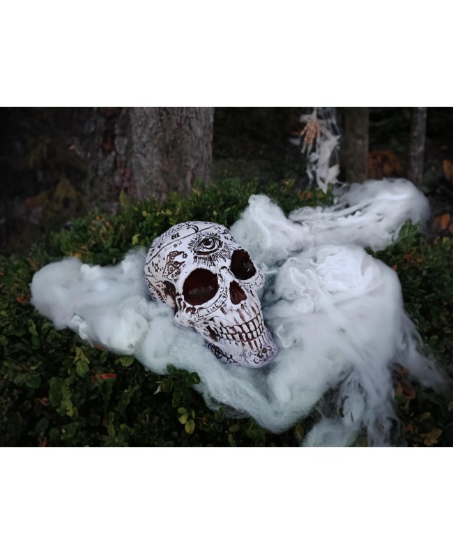Europalms Halloween Skull, mystical, 12x10x18cm Articoli stagionali