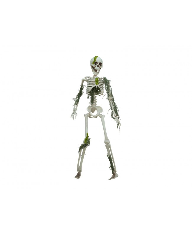 Europalms Halloween Skelteton with Moss, 40cm Seasonal Items