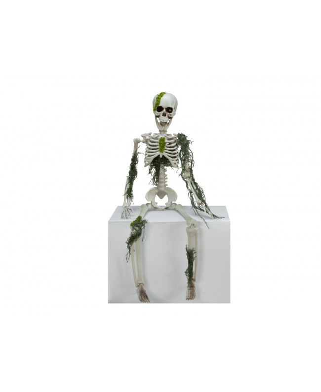 Europalms Halloween Skelteton with Moss, 40cm Articoli stagionali