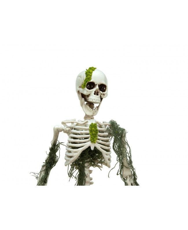 Europalms Halloween Skelteton with Moss, 40cm Articoli stagionali