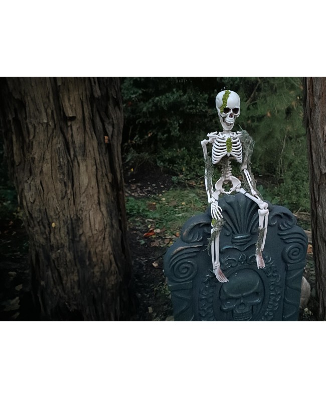 Europalms Halloween Skelett mit Moos, 40cm Saisonartikel