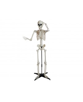 Europalms Halloween Skeleton, standing, 150 cm Articoli stagionali