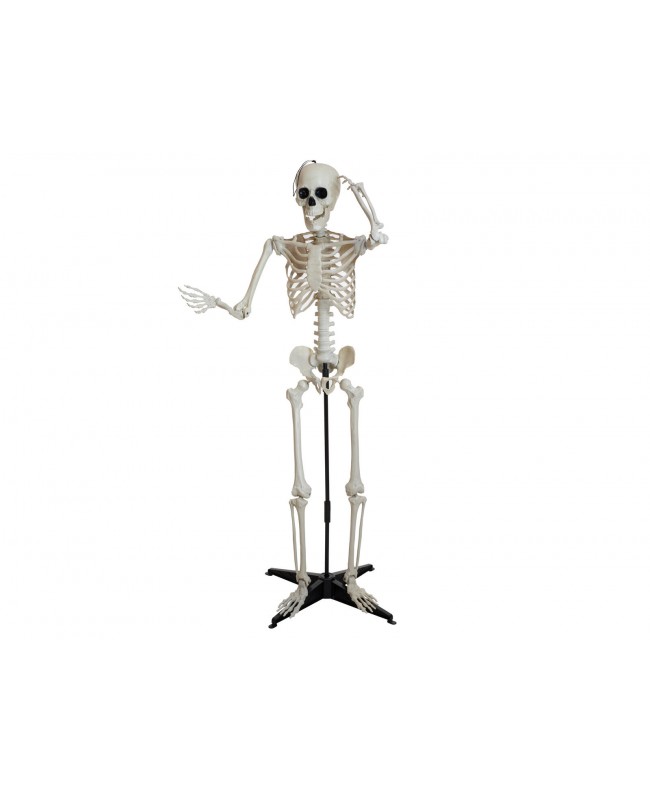 Europalms Halloween Skeleton, standing, 150 cm Articoli stagionali