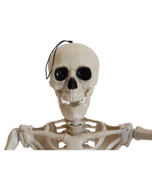Europalms Halloween Skeleton, standing, 150 cm Seasonal Items