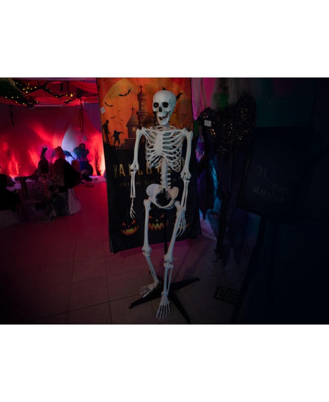Europalms Halloween Skeleton, standing, 150 cm Seasonal Items
