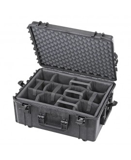 Panaro MAX540H245CAM