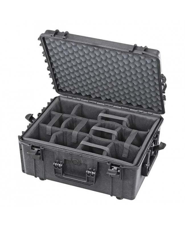 Panaro MAX540H245CAM