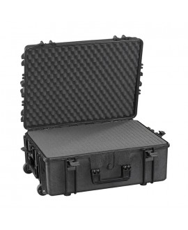 Panaro MAX620H250HDSTR